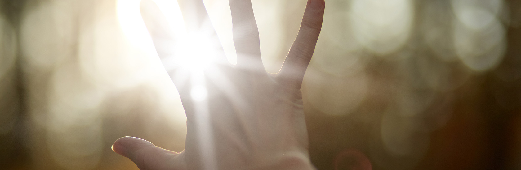 仕事内容 - 個人向け -