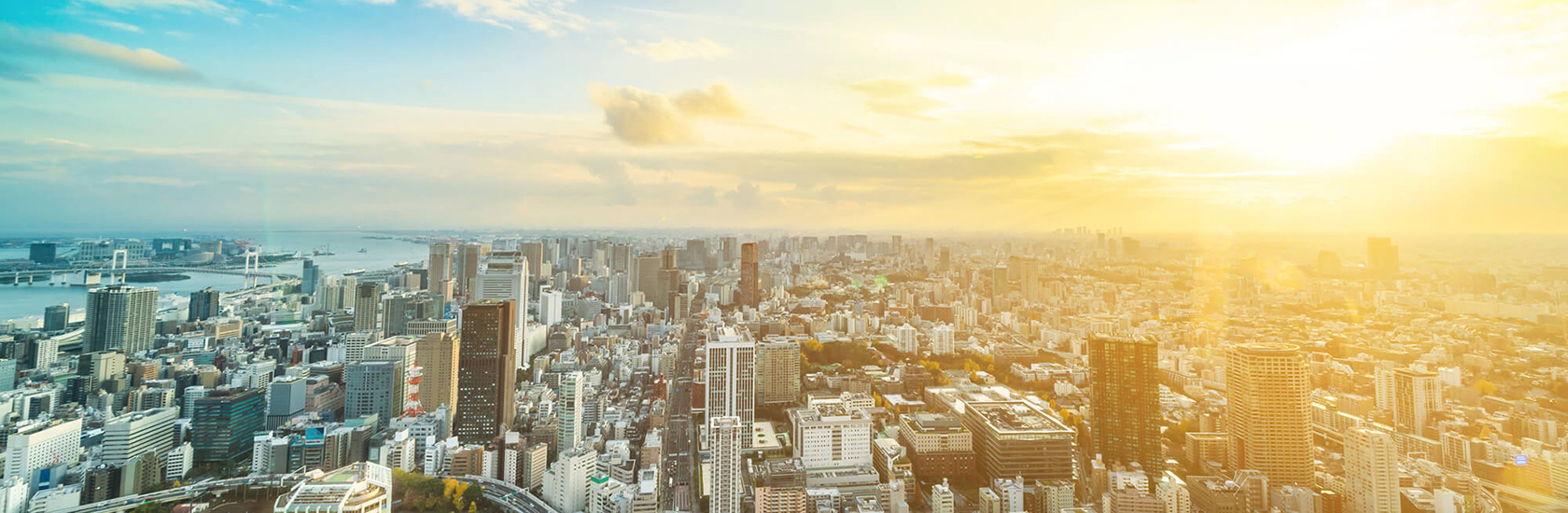 仕事内容 - 法人向け -